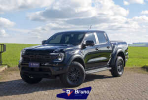 RAPTOR 01