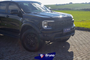 RAPTOR 03