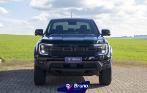 RAPTOR 04